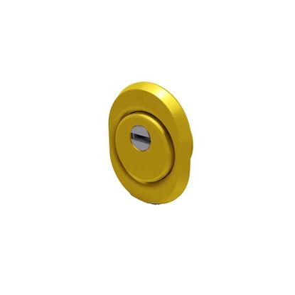 Immagine di KIT ESTERNO PROTECTOR FORTEZZA, ACCIAIO, OTTONE LUCIDO, Ø 50X22 MM
