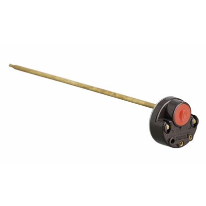 Immagine di TERMOSTATO, DOPPIA SICUREZZA, 30 CM