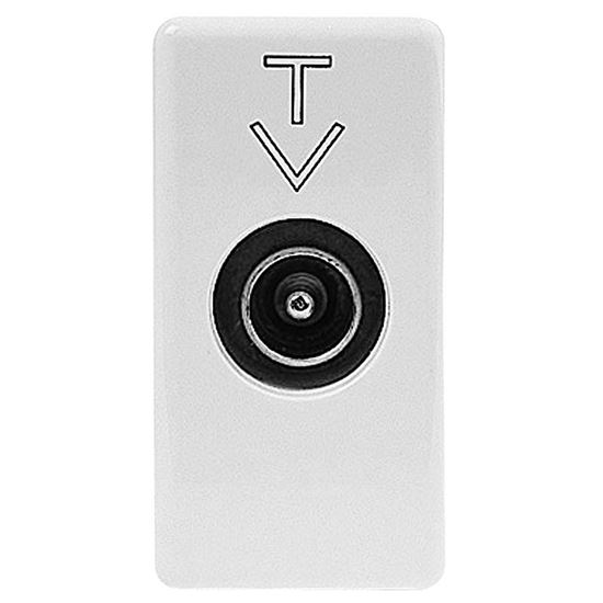 Immagine di PRESA TV PASS. C/MASCHIO 5DB