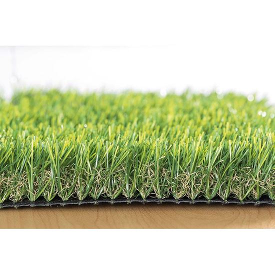 Immagine di ERBA SEMPREVERDE 2X5 MT, SPESSORE 35 MM